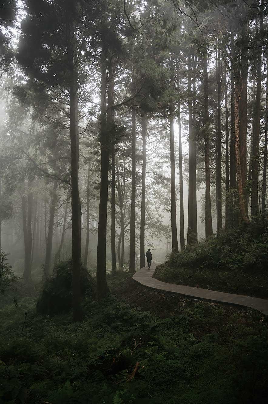 Alishan National Park in Taiwan