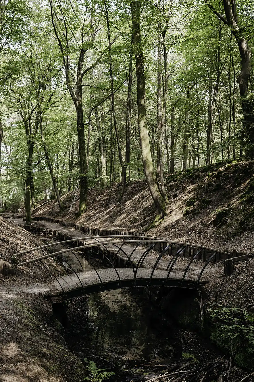 Boutique Hotel Beekhuizen brug in het bos