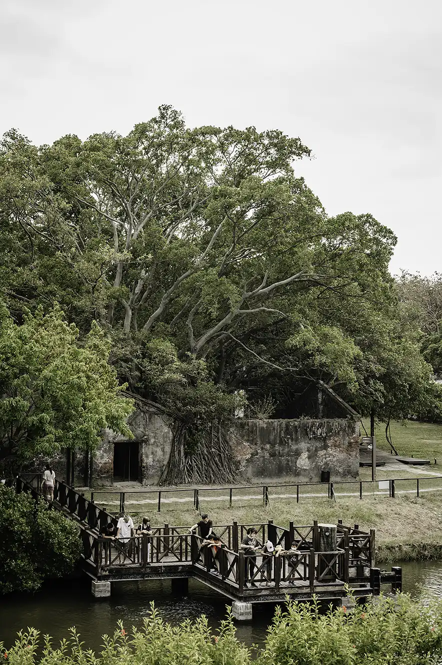 Anping Tree House in Tainan, een van Tainan's leukste bezienswaardigheden. Gezien vanaf een uitkijkpunt. 