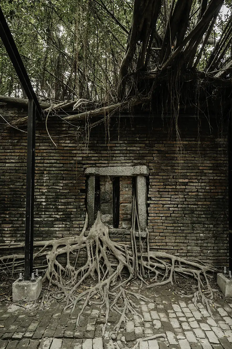 Banyan bomen groeien uit een raam bij Anping Tree House in Tainan, Taiwan