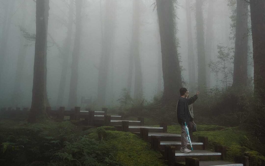 Magical Alishan: a perfect day trip from Chiayi