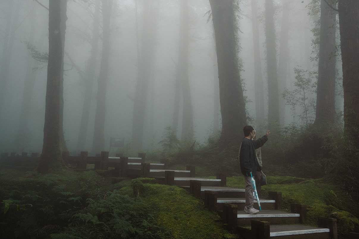 Alishan’s prachtige natuur: de ideale dagtrip vanuit Chiayi