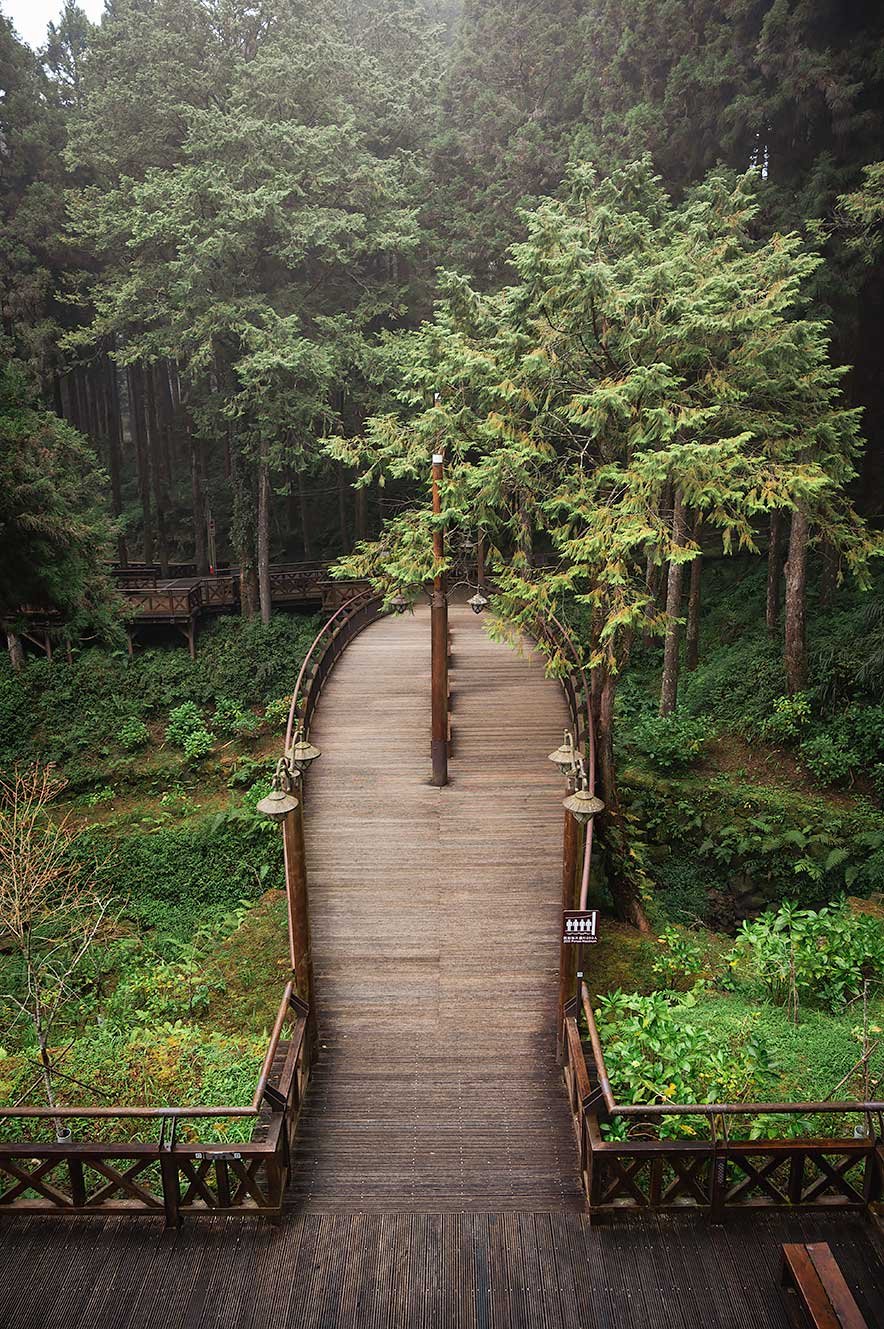 Zhouzi brug ook bekend als Boat Bridge in Alishan, Taiwan