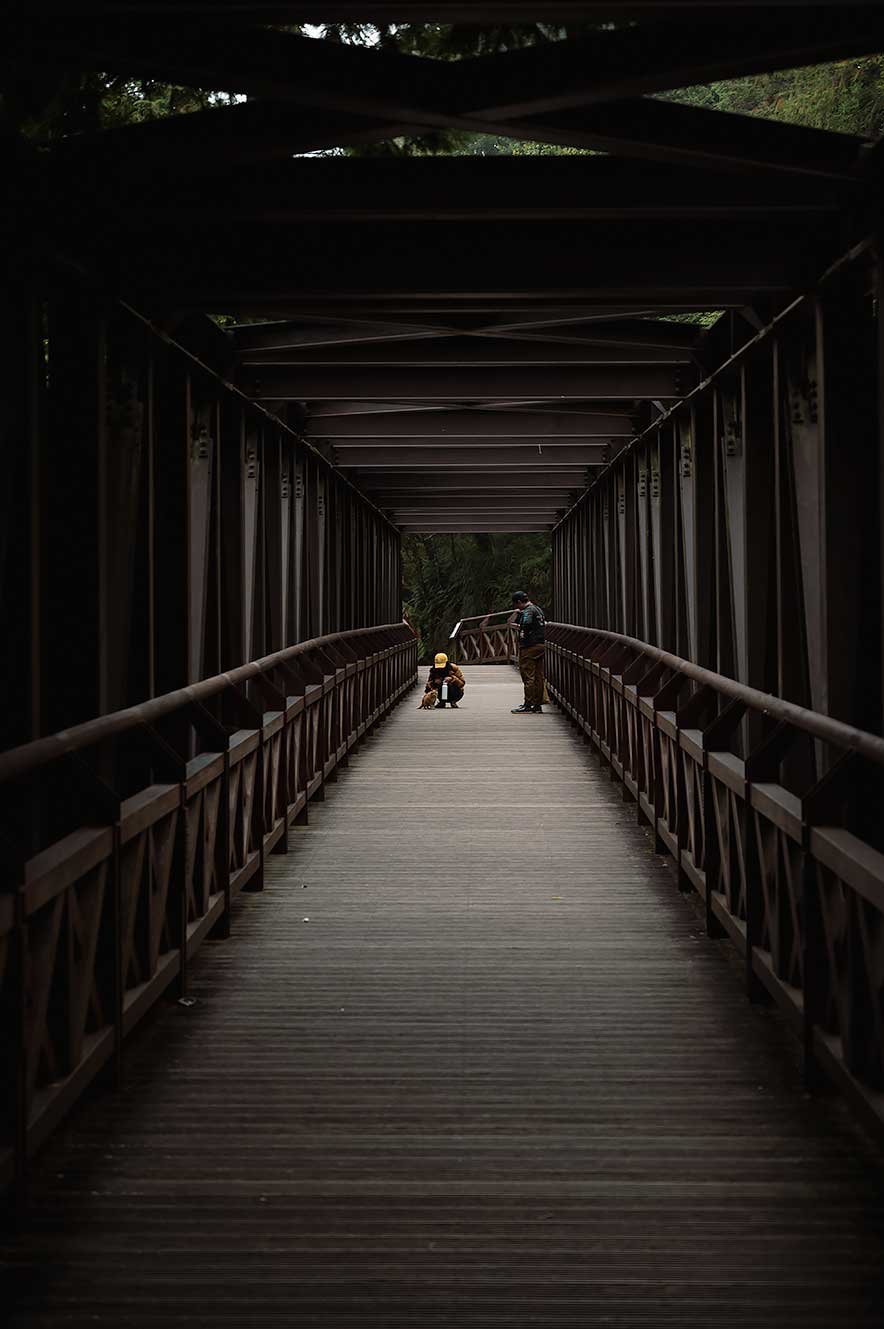 Brug bij de ingang van het park bij Alishan. Twee mensen aaien een kat. 