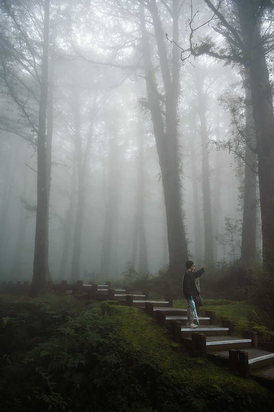 Mensen lopen van een trap in een mistig bos in Alishan, Taiwan