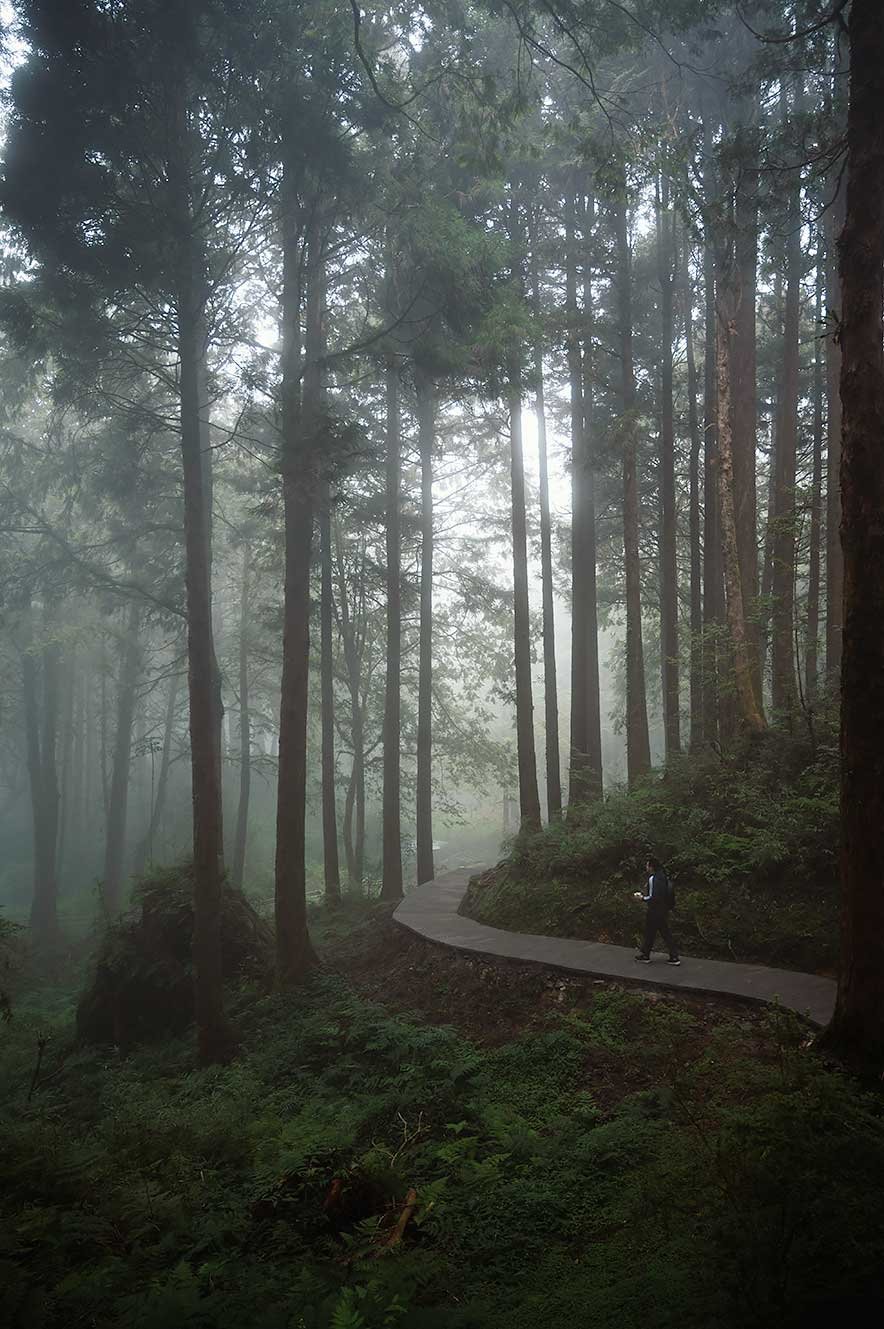 Wandelen door de mist in Alishan national forest recreation area