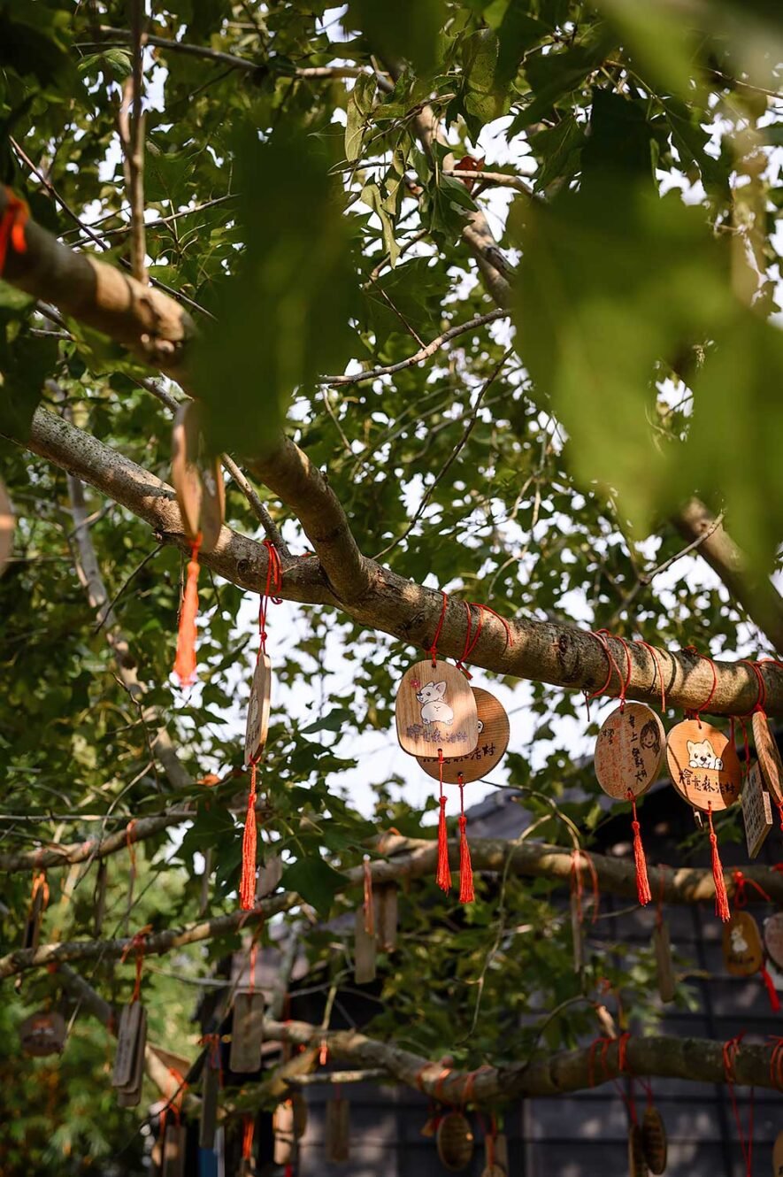 Hinoki Village in Chiayi, Taiwan