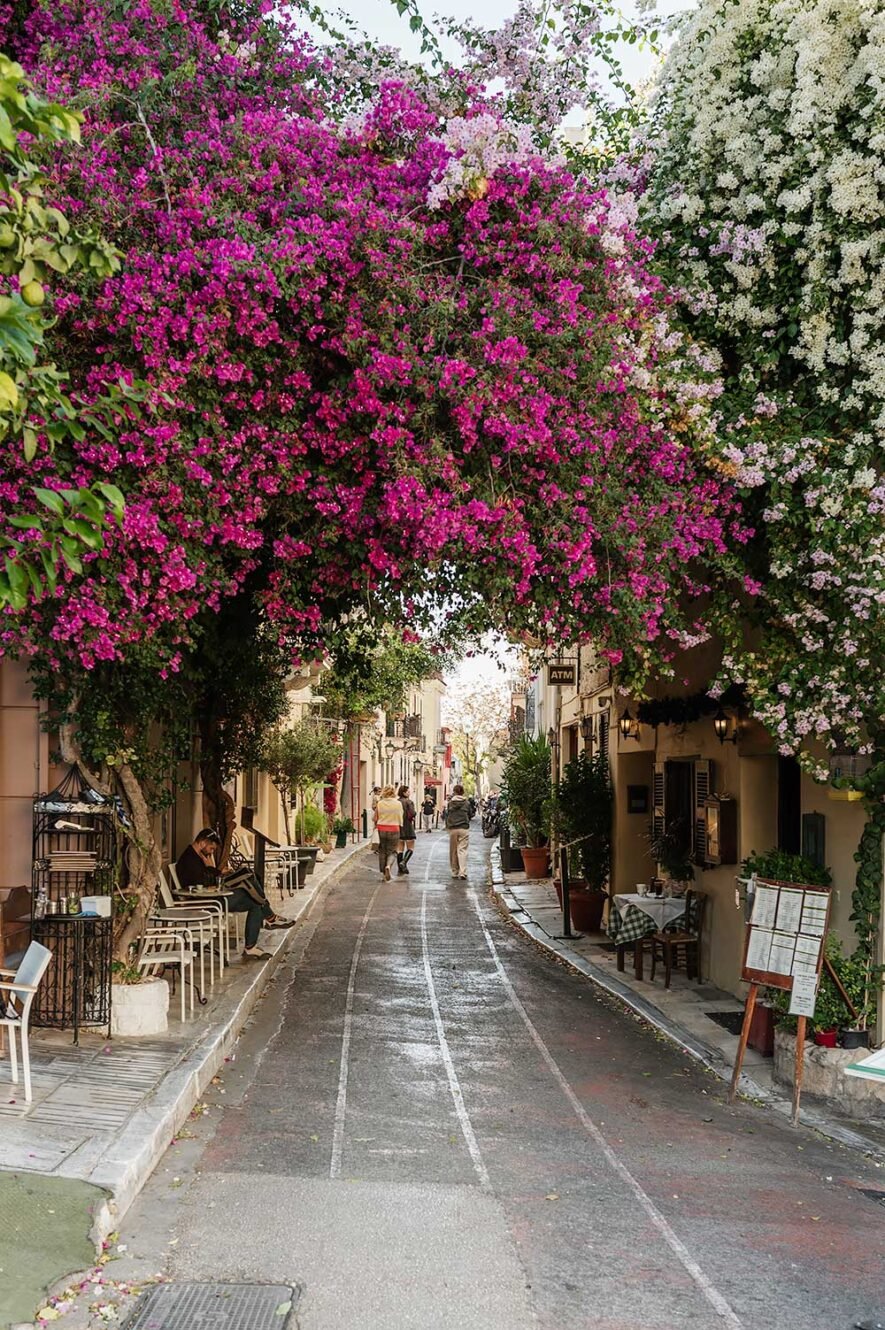 Straat met bloemen in Plaka, Athene