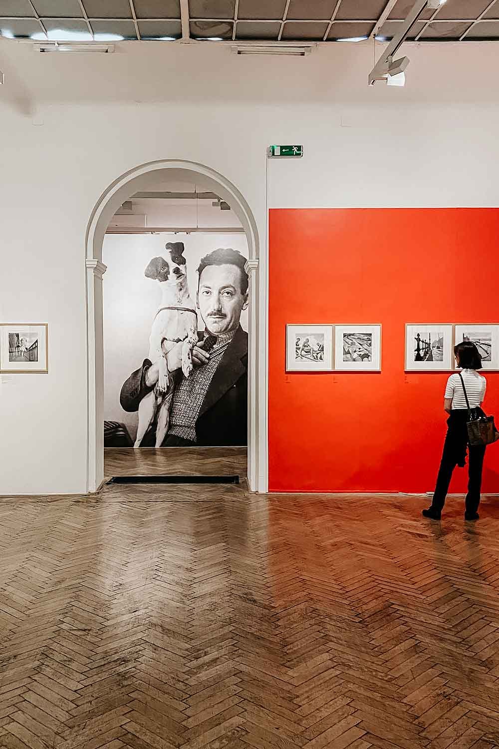 Capa Center - photography museum and exhibitions in Budapest