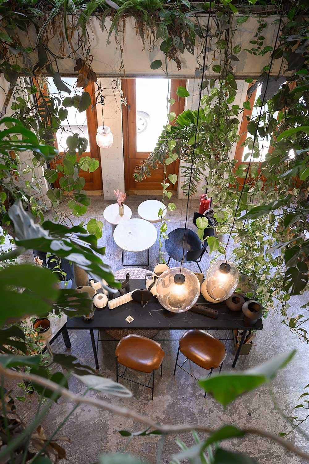 Minu plants and cafe in Athens