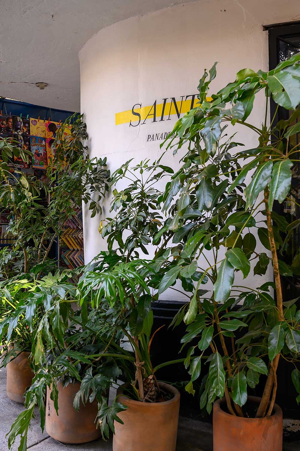 Saint Panaderia, een van de beste bakkerijen in Mexico City