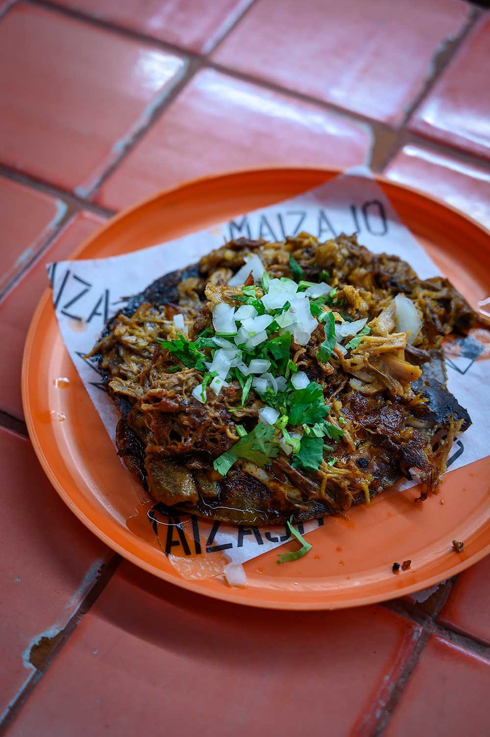 Quesabirria taco bij Maizajo, Mexico City