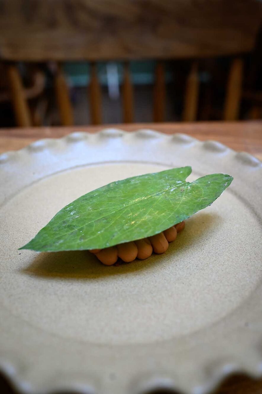 Michelin restaurant Rosetta in Roma Norte, Mexico City. Dessert met hoja santa 