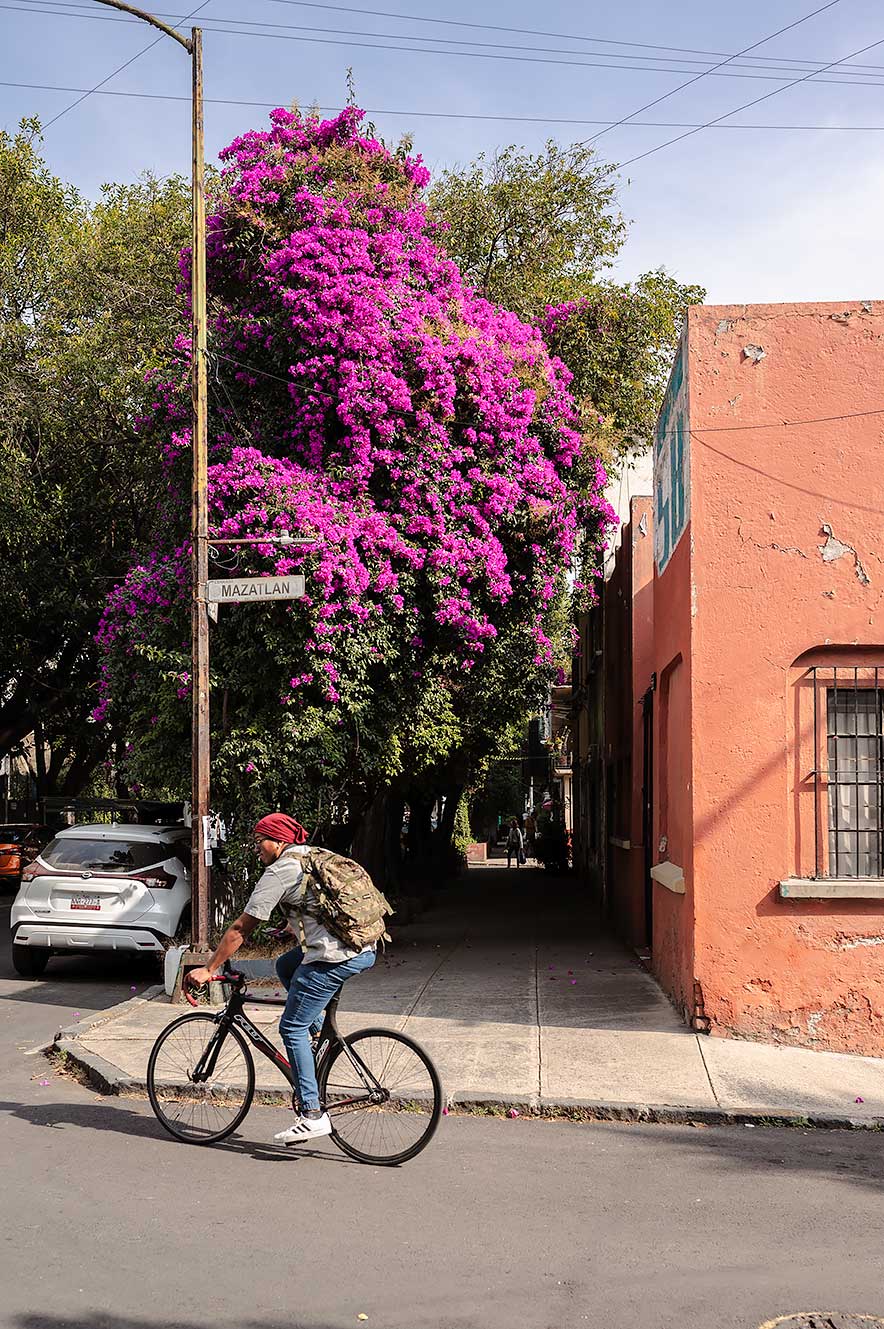 Man cycling in Condesa, Mexico City