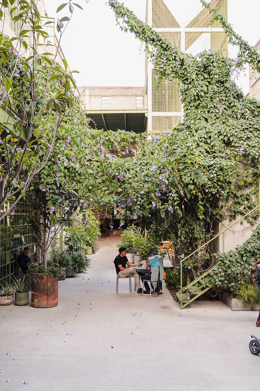 In La Laguna in Mexico City, a former textile factory, you’ll now find shops by local designers and artists
