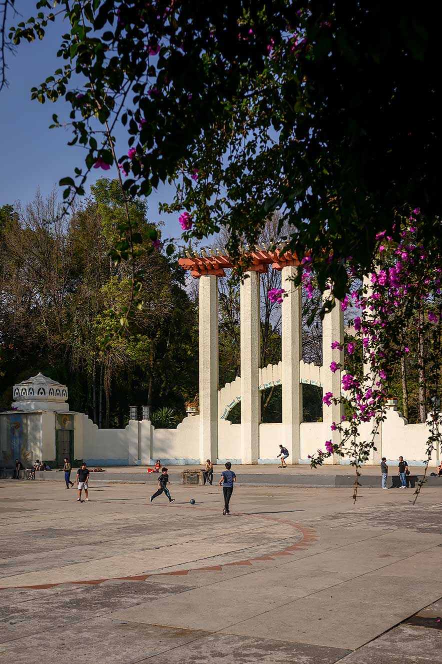 Kids playing in Parque México, Mexico City