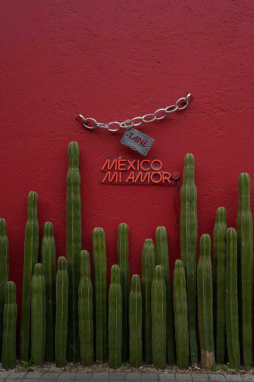 Mexico Mi Amor mural in the Polanco neighborhood, Mexico City