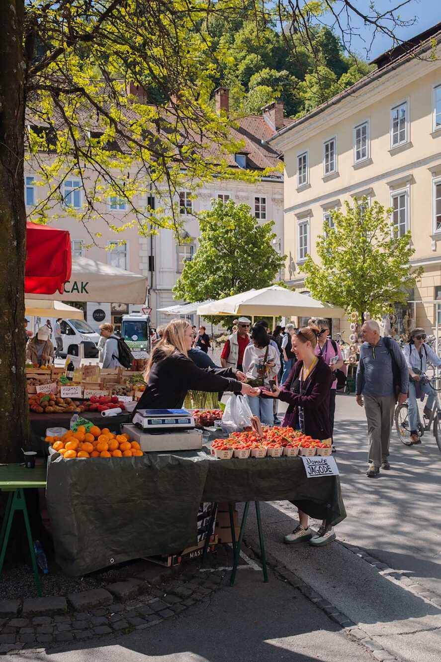 Visit the Central Market as part of your Ljubljana Itinerary